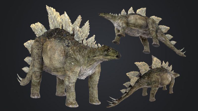 Stegosaurus 3D Модель .c4d .max .obj .3ds .fbx .stl .blend 