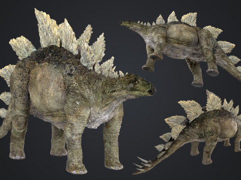 Stegosaurus 3D Modell