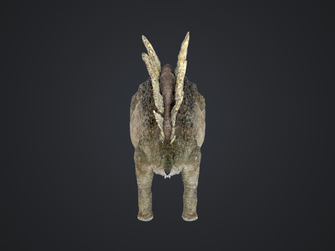 Stegosaurus 3D Модель