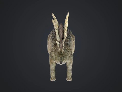 Stegosaurus 3D Model