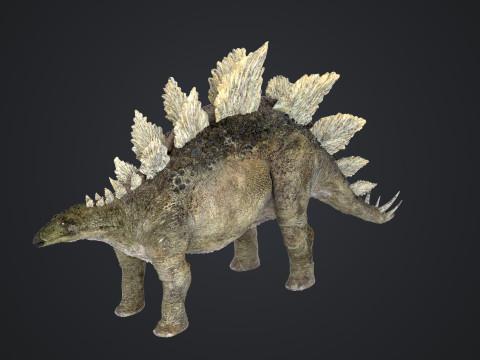 Stegosaurus 3D Модель
