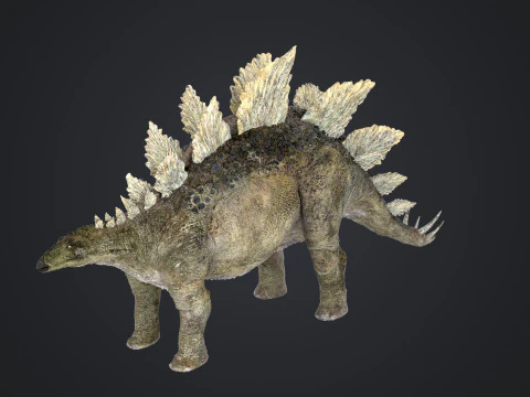 Stegosaurus 3D Model