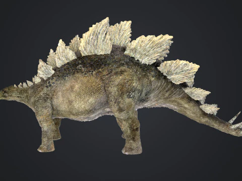 Stegosaurus 3D Model