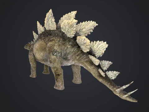 Stegosaurus 3D Model