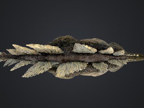 Stegosaurus 3D Модель