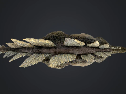 Stegosaurus 3D Model