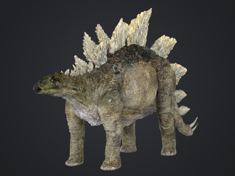 Stegosaurus 3D Модель