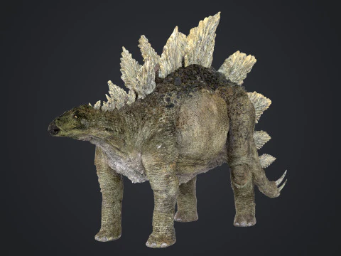 Stegosaurus 3D Model