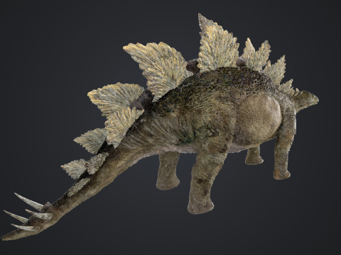 Stegosaurus 3D Модель