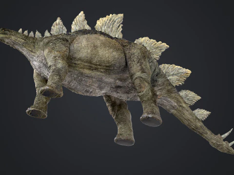 Stegosaurus 3D Model