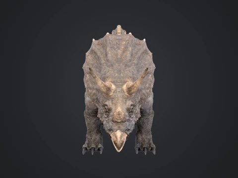 Tricer&aacute;topo Modelo 3D