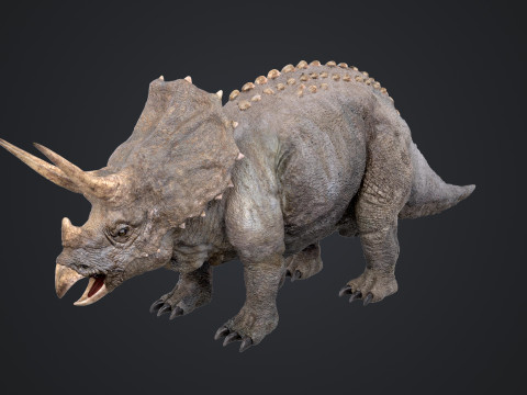 Triceratops 3D मॉडल