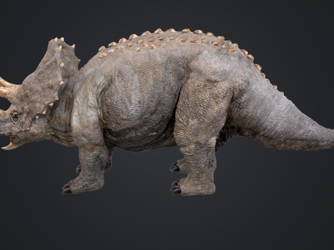 Triceratops 3D मॉडल