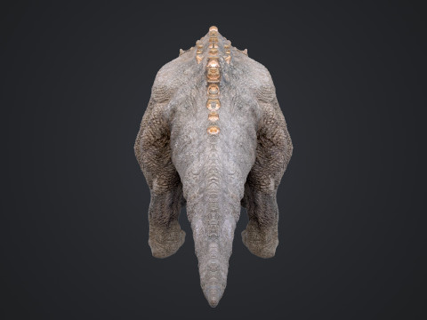 Triceratops 3D मॉडल