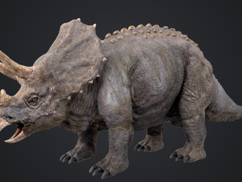 Triceratops 3D मॉडल