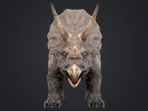 Tricer&aacute;topo Modelo 3D