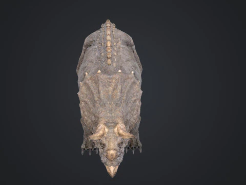 Tricer&aacute;topo Modelo 3D