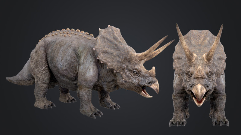 Triceratops 3D Модель .c4d .max .obj .3ds .fbx .stl .blend