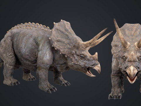Triceratops 3D Модель