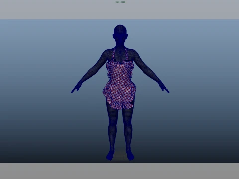 Apron 3D Model