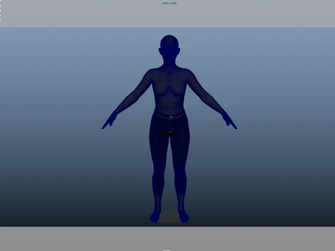 Jeans 3D Model