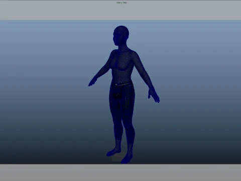Jeans 3D Model