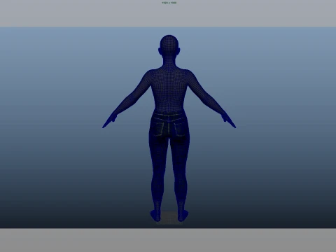Jeans 3D Model