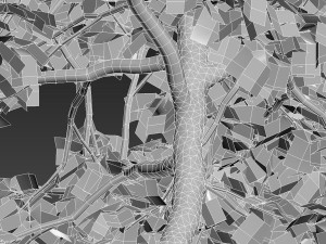 Betula papyrifera - Paper birch 02 3D-Modell