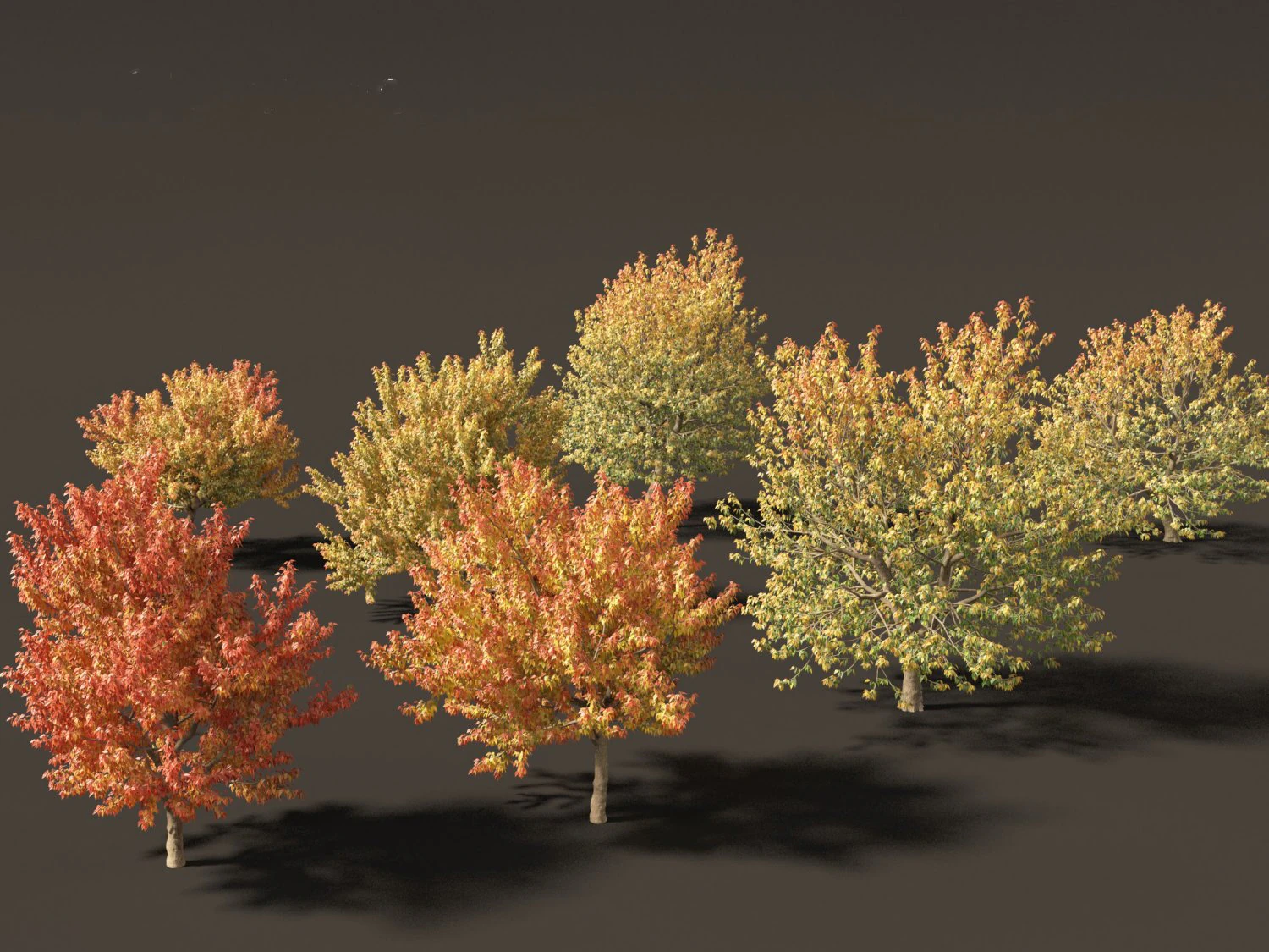 Acer negundo - Boxelder 02 Modello 3D .c4d .max .obj .3ds .fbx .stl .blend 