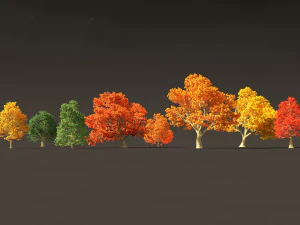 Acer platanoides - bordo da Noruega Modelo 3D