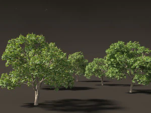 Aesculus hippocastanum - horse chestnut 05 3D Model