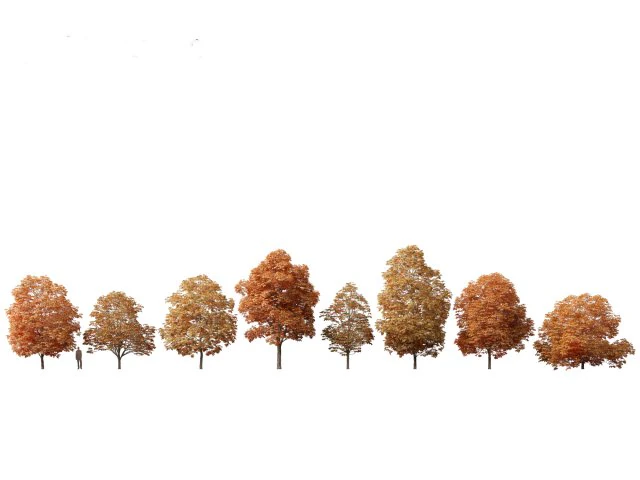 Aesculus hippocastanum - ippocastano 09 Modello 3D .c4d .max .obj .3ds .fbx .stl .blend