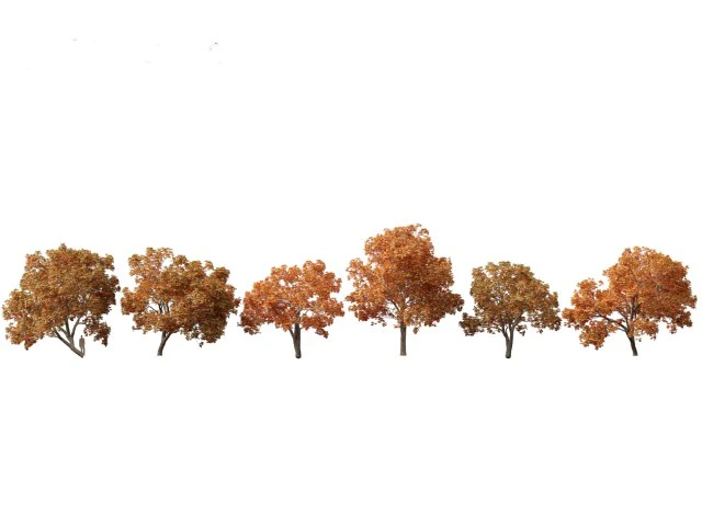 Aesculus hippocastanum - ippocastano 10 Modello 3D .c4d .max .obj .3ds .fbx .stl .blend