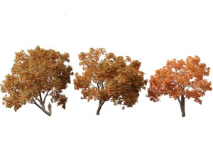 Aesculus hippocastanum - ippocastano 10 Modello 3D