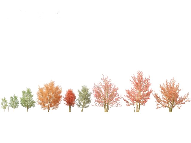 Amelanchier canadensis - Canadian serviceberry 3D Model .c4d .max .obj .3ds .fbx .stl .blend 