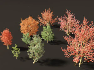 Amelanchier canadensis - Canadian serviceberry 3D Model