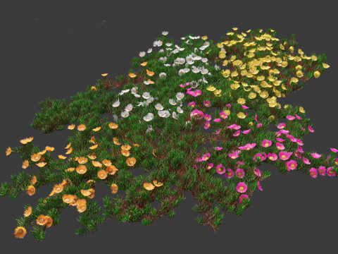 Carpobrotus edulis - highway iceplant 3D Model