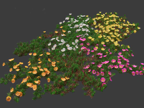 Carpobrotus edulis - highway iceplant 3D Model