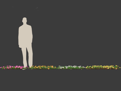 Carpobrotus edulis - highway iceplant 3D Model