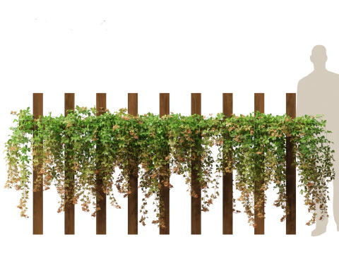 Parthenocissus Sikkimensis - Sikkim 3D Model