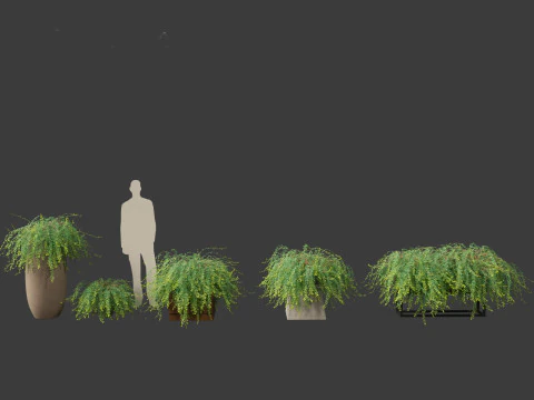 Phyllanthus Cochinchinensis - Vietnam Leaf-Flower 3D Model