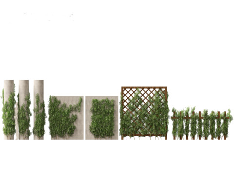 Trachelospermum Jasminoides - Star jasmine Model 3D