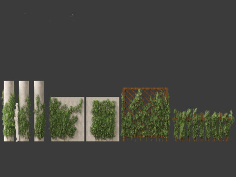 Trachelospermum Jasminoides - Star jasmine 3D Model