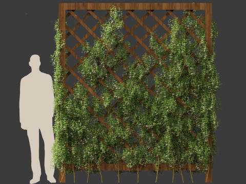Trachelospermum Jasminoides - Star jasmine 3D Model