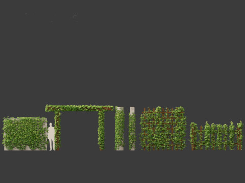Virginia Creeper - Parthenocissus quinquefolia 3D मॉडल