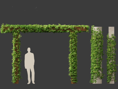 Virginia Creeper - Parthenocissus quinquefolia 3D मॉडल