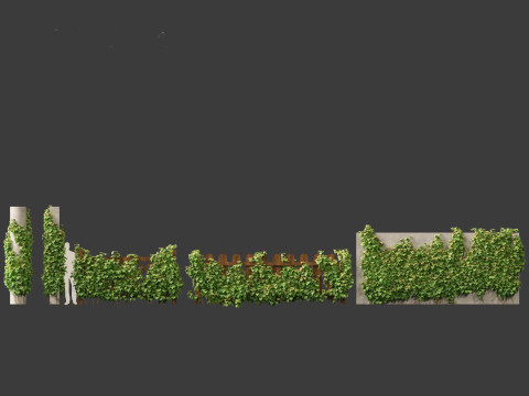Vitis Coignetiae - Crimson Glory Vine 3D Модель