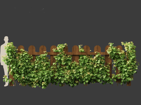 Vitis Coignetiae - Crimson Glory Vine 3D Модель