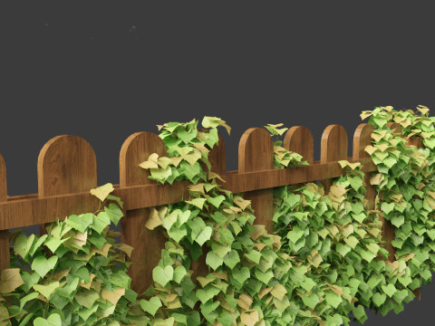 Vitis Coignetiae - Crimson Glory Vine 3D Модель