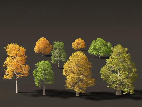 Castanea dentata - American chesnut Model 3D